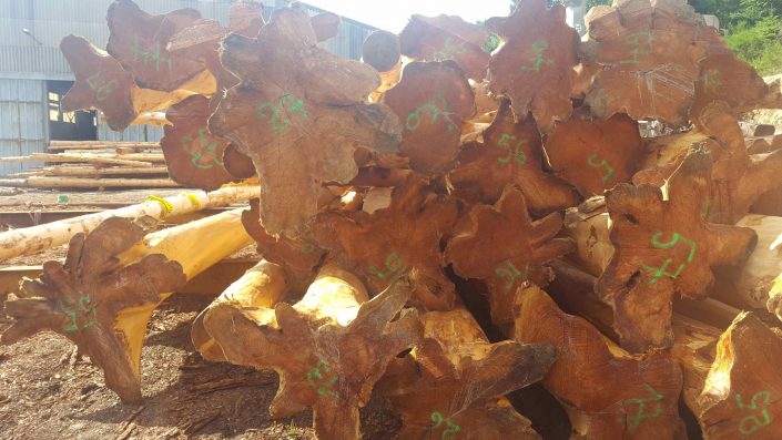 Maison-rondins-moderne-5