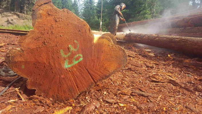 Maison-rondins-moderne-6